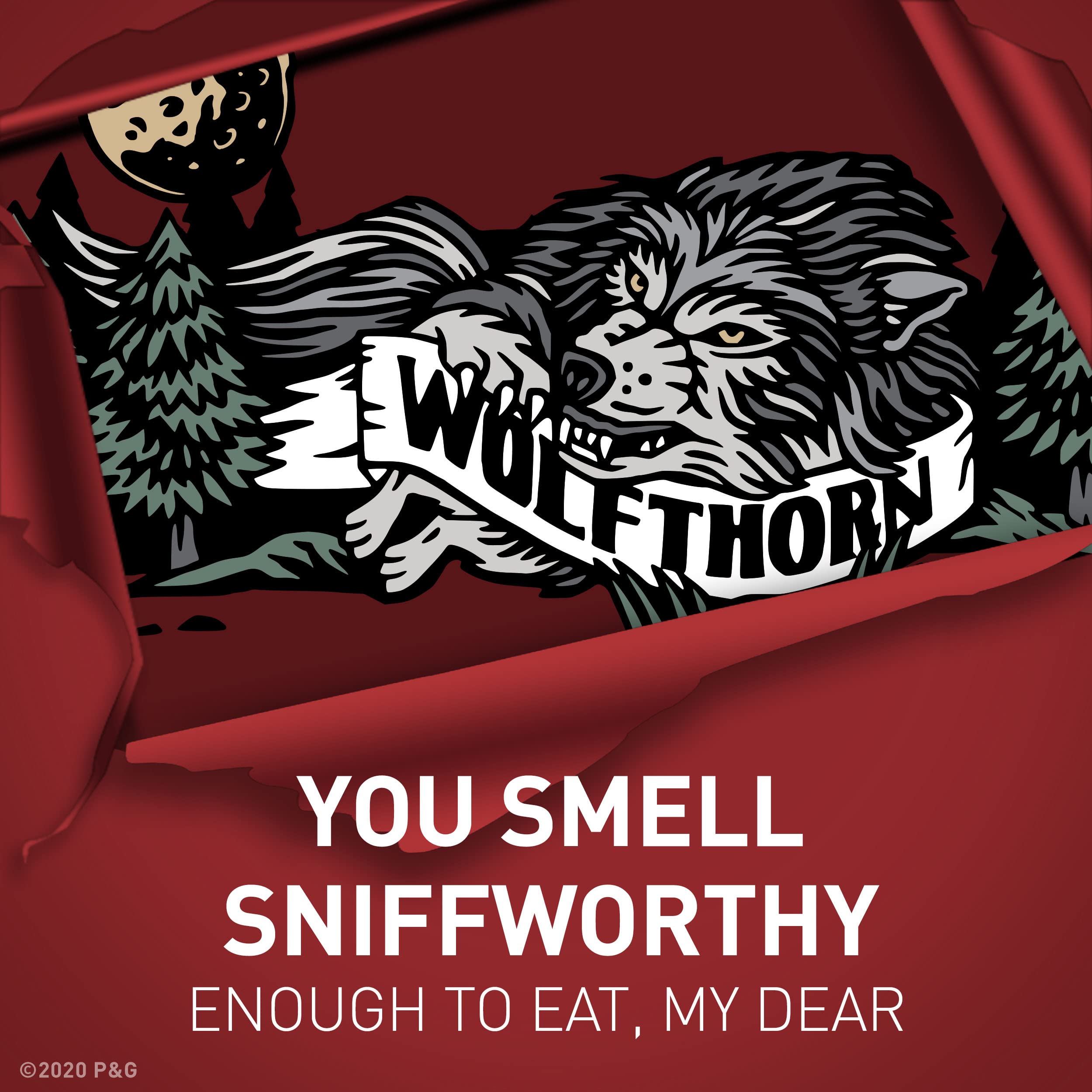 Old Spice Wolfthorn three-pack box displayed for value and convenience