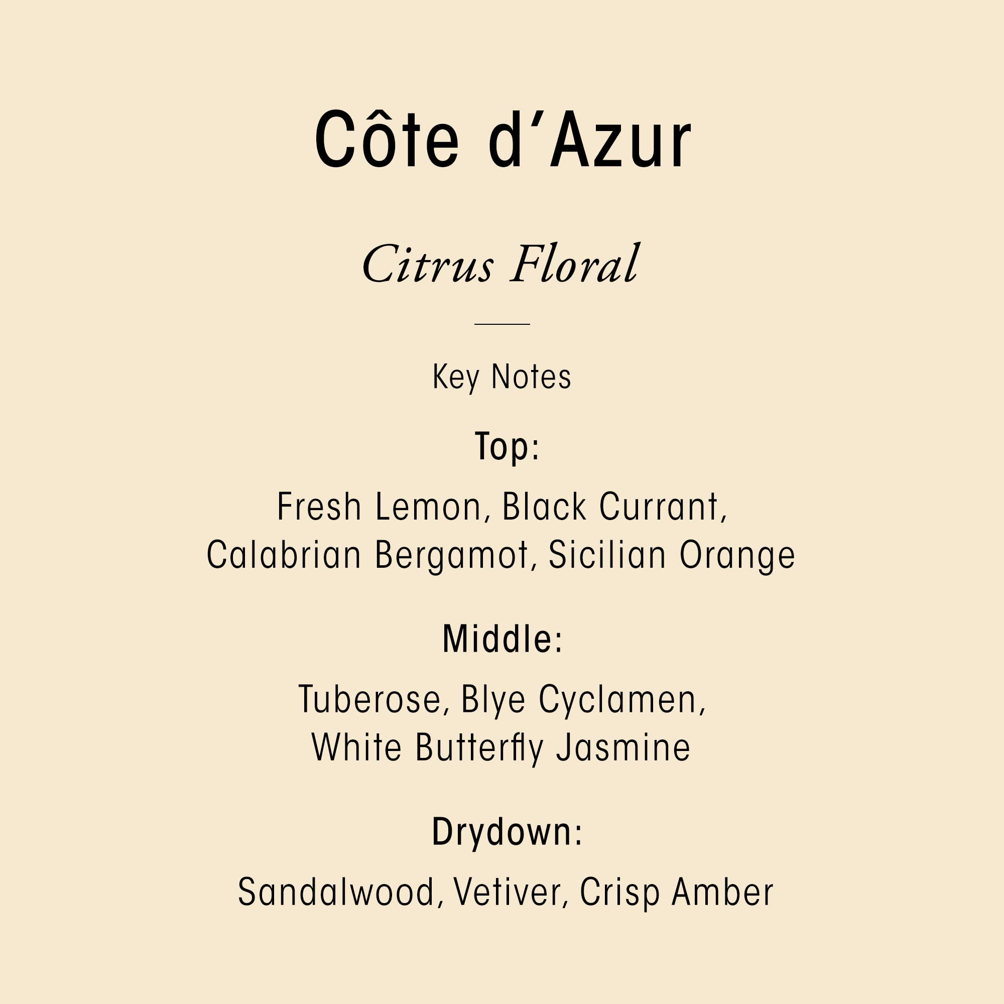 ORIBE pouch placed in a shower setting conveying luxurious routine and sensory benefit