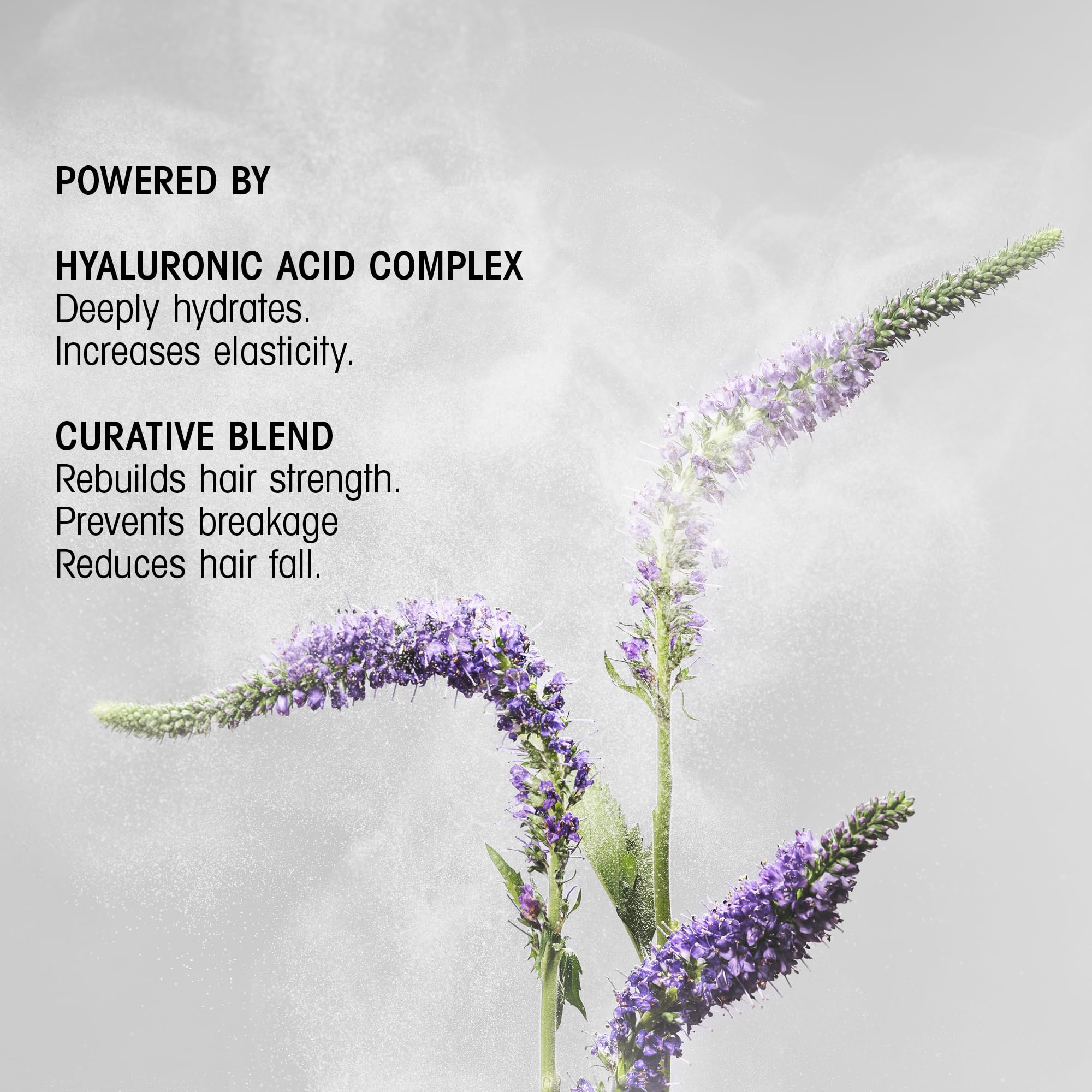 ORIBE bottle paired with conditioner illustrating system benefits