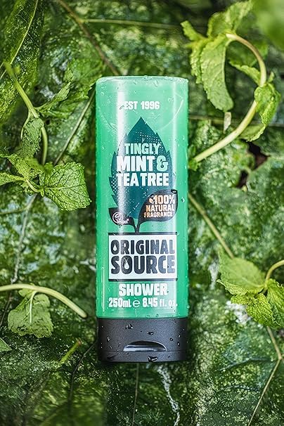ORIGINAL SOURCE ingredients label close-up showing tea tree and mint extracts