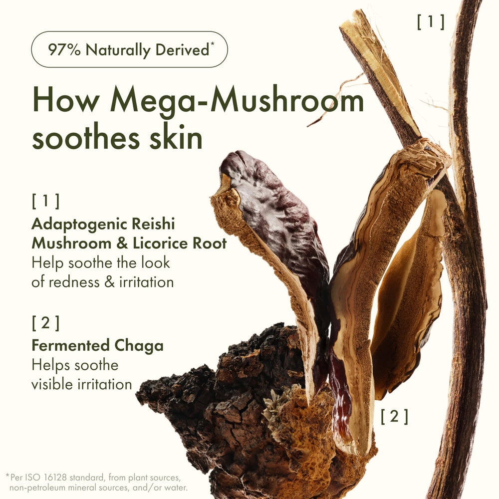 Origins Mega-Mushroom ingredients display with mushroom extract emphasizing calming benefit