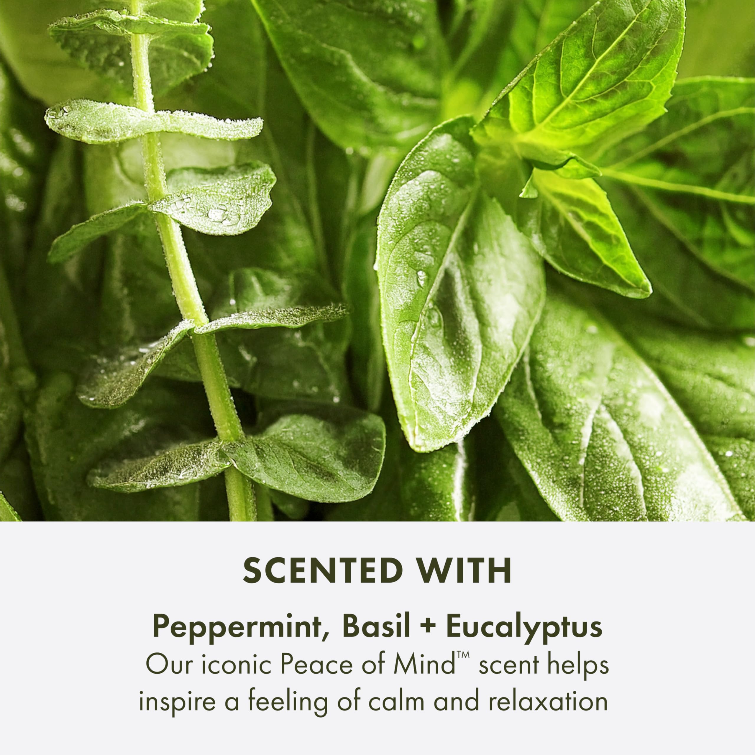 Meadowfoam seeds and oil drop visualizing Origins ingredient that conditions and locks moisture