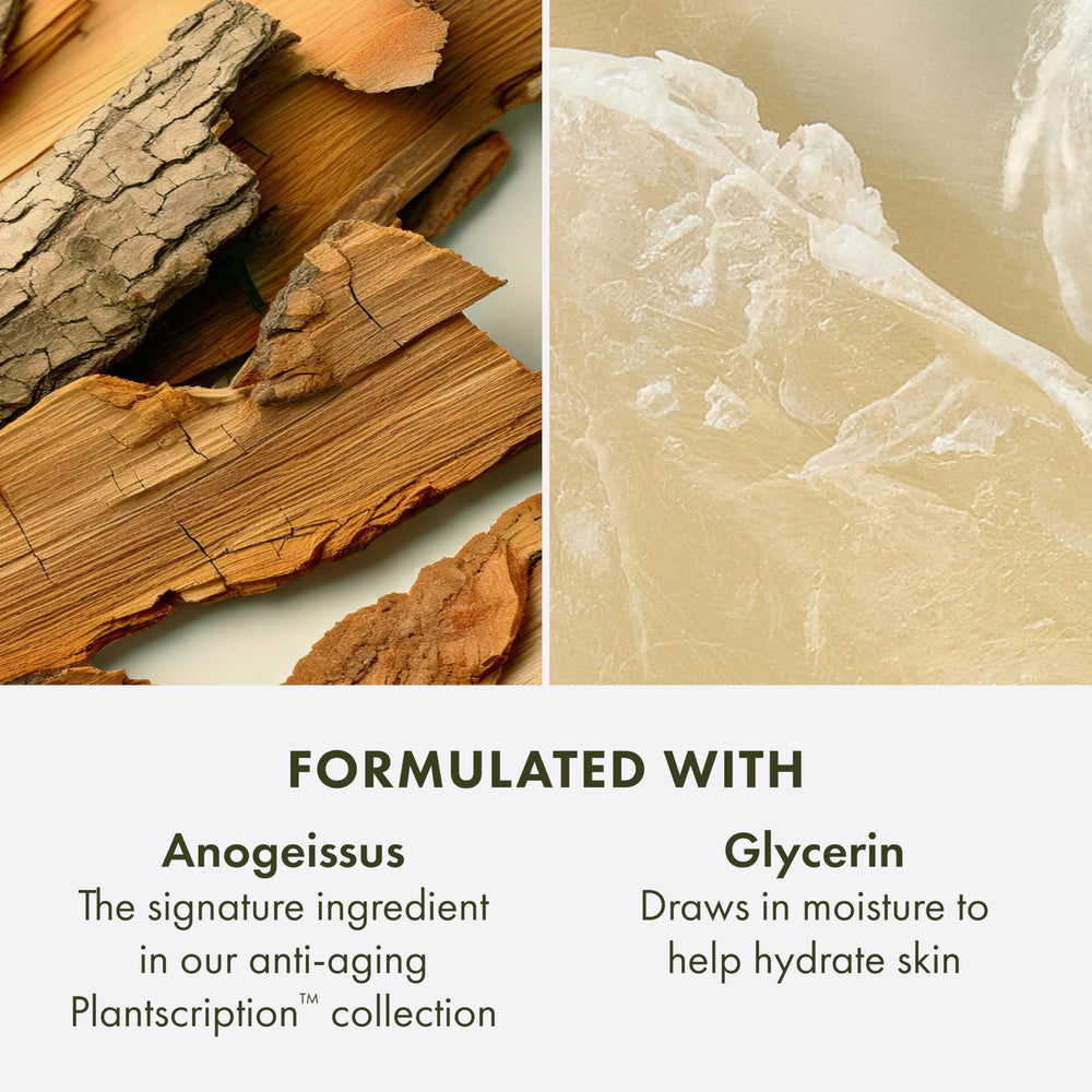 Origins Plantscription Anogeissus ingredient visual emphasizing botanical origin and refinement