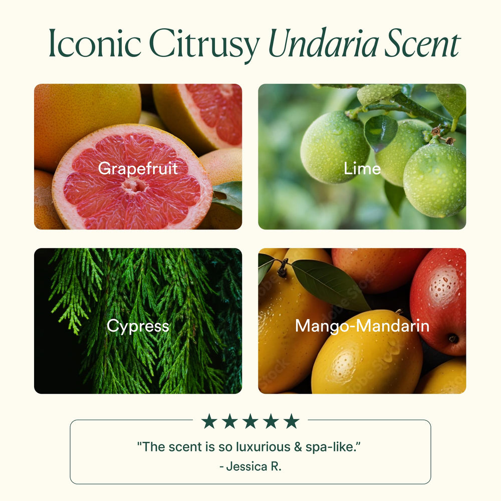 OSEA Undaria seaweed ingredient shot showing antioxidant nourishment