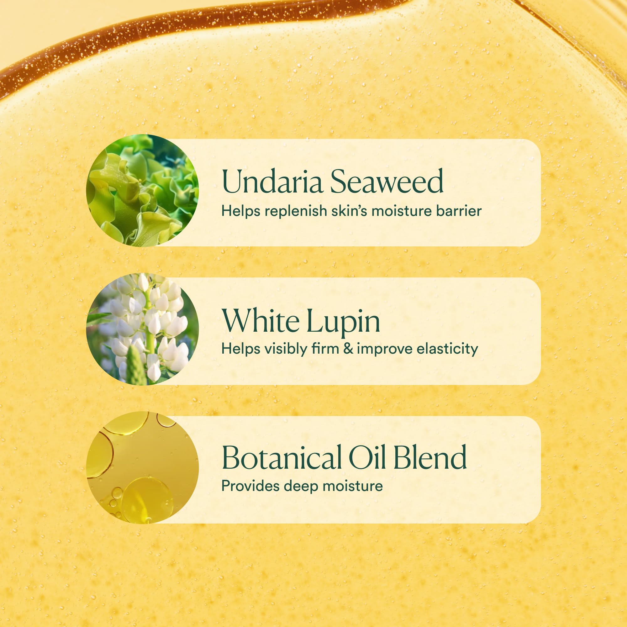 OSEA label close-up highlighting clean formula and fragrance-free benefit