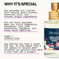 Pacifica bottle detail highlighting recyclable glass and minimalist design benefit
