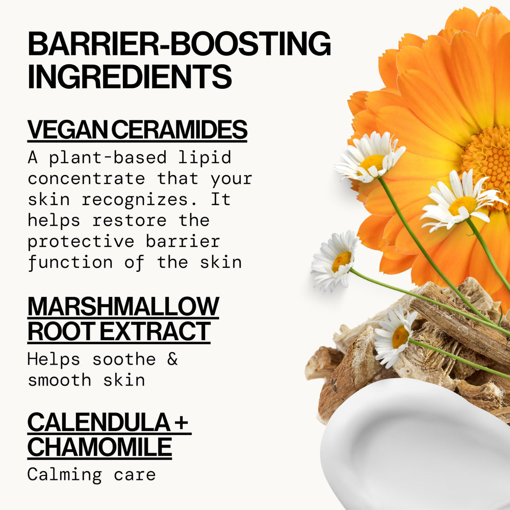 Sunflower oil ingredient shot highlighting antioxidant hydration benefit for Pacifica