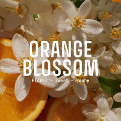Panier des Sens creamy foaming texture close-up, shows gentle lather and conditioning