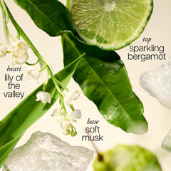 philosophy creamy foam texture on hand showcasing gentle lather and soft hydration