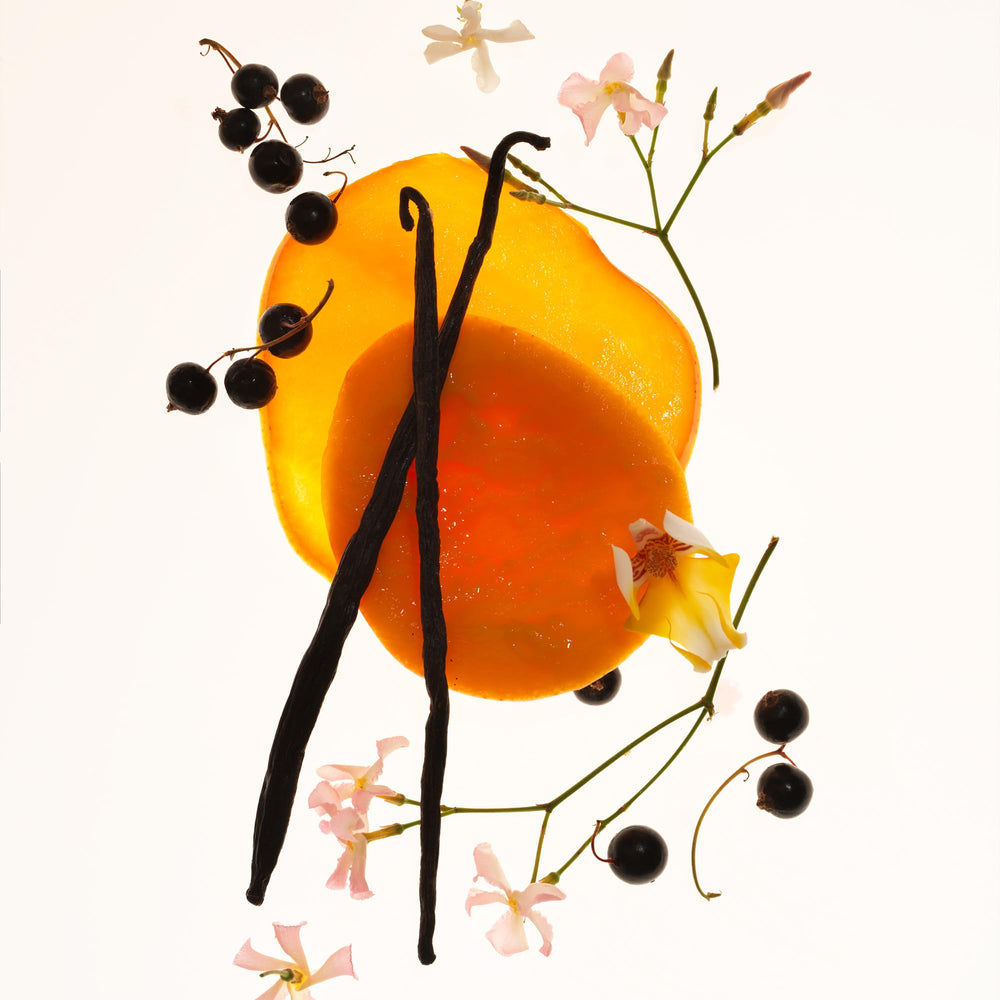 PHLUR Mango Mood close-up label highlighting scent notes and premium look