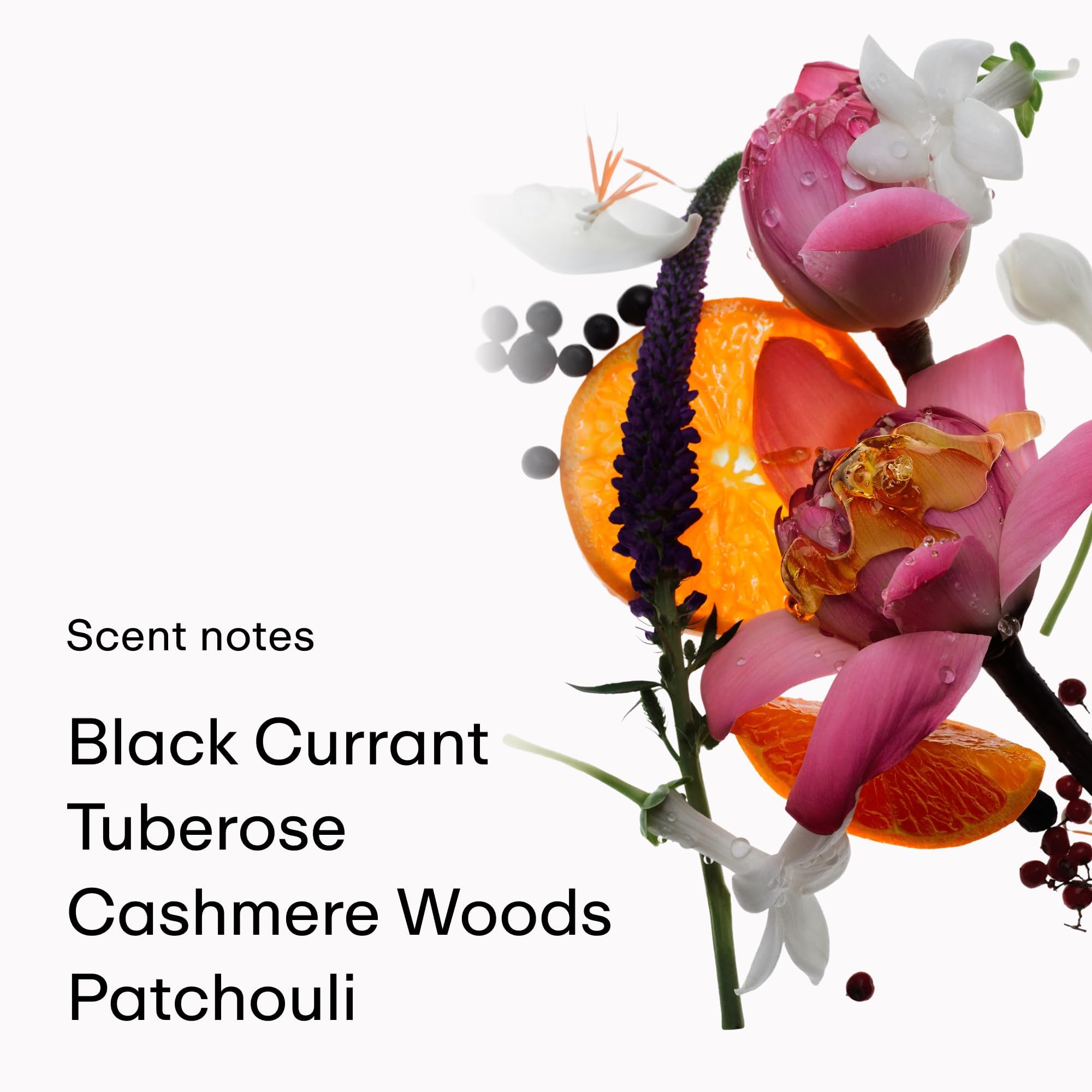 PHLUR ingredients depiction of mandarin, tuberose, and patchouli notes