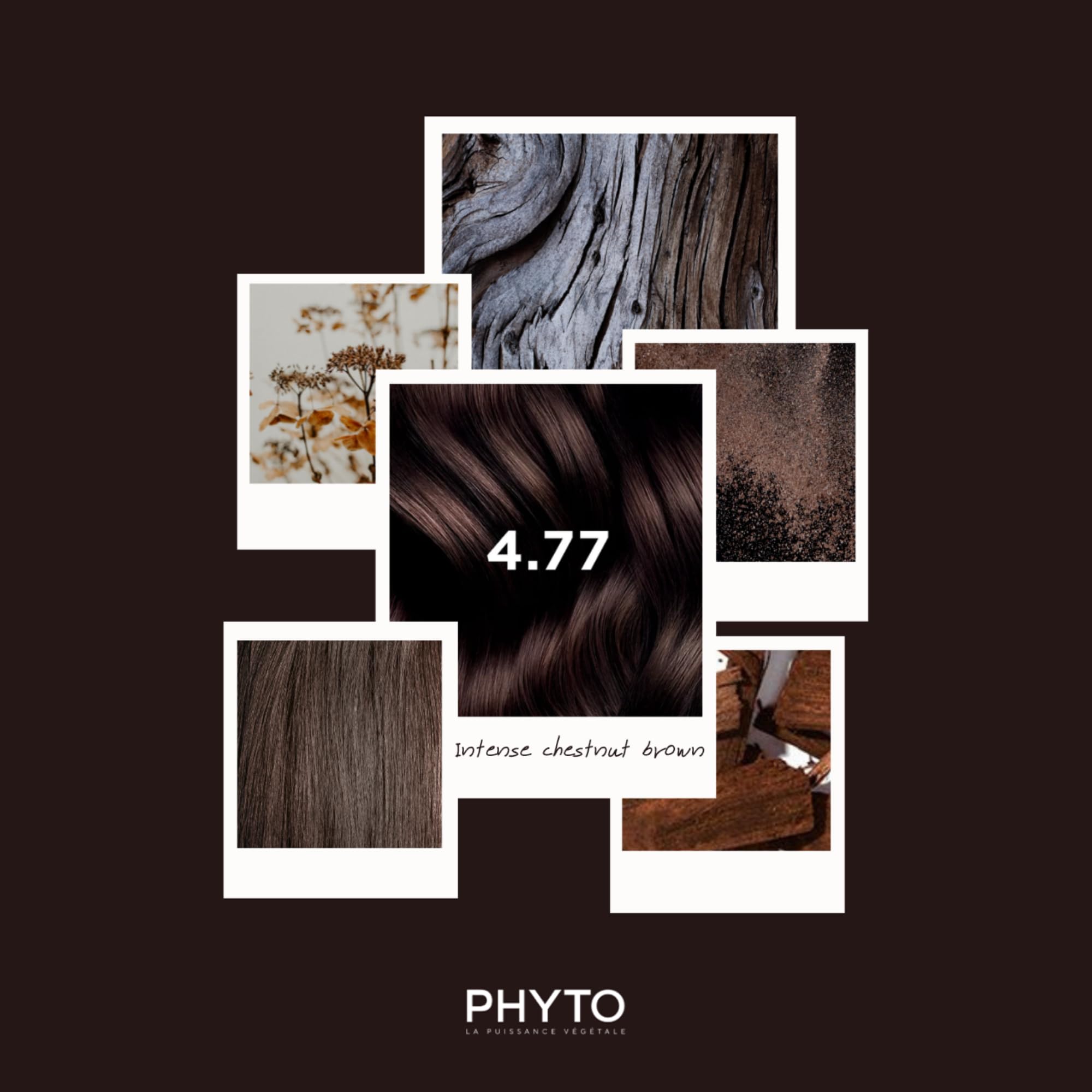 PHYTO kit contents laid out to show actual size and portions