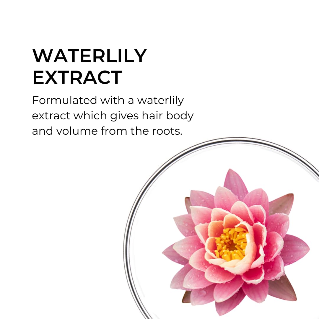 PHYTO volume botanical texture and ingredient detail offering lightweight volume