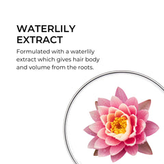 PHYTO volume botanical texture and ingredient detail offering lightweight volume