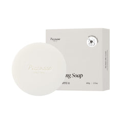 Piccasso front packaging showing brush cleaner bar and case, keeps tools tidy