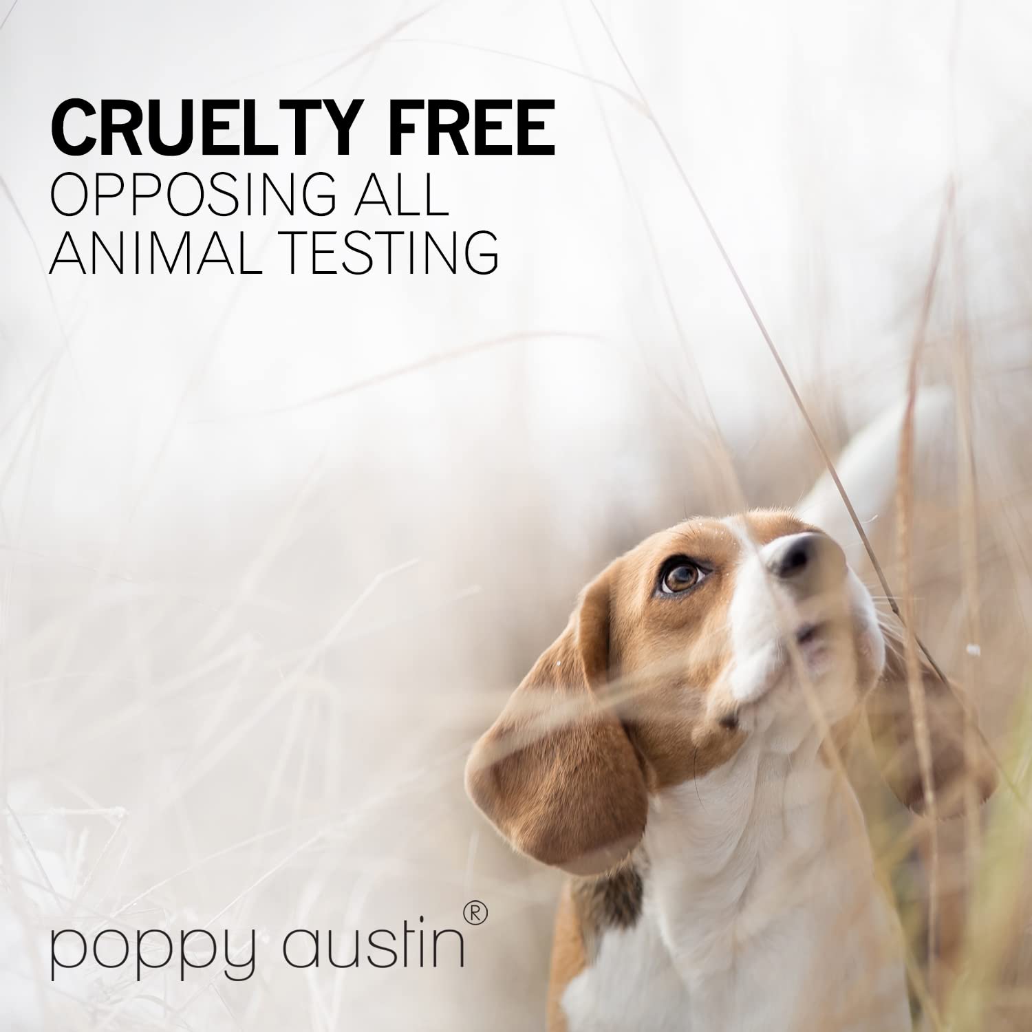 poppy austin ingredient shot with argan oil droplet highlighting nourishing benefits