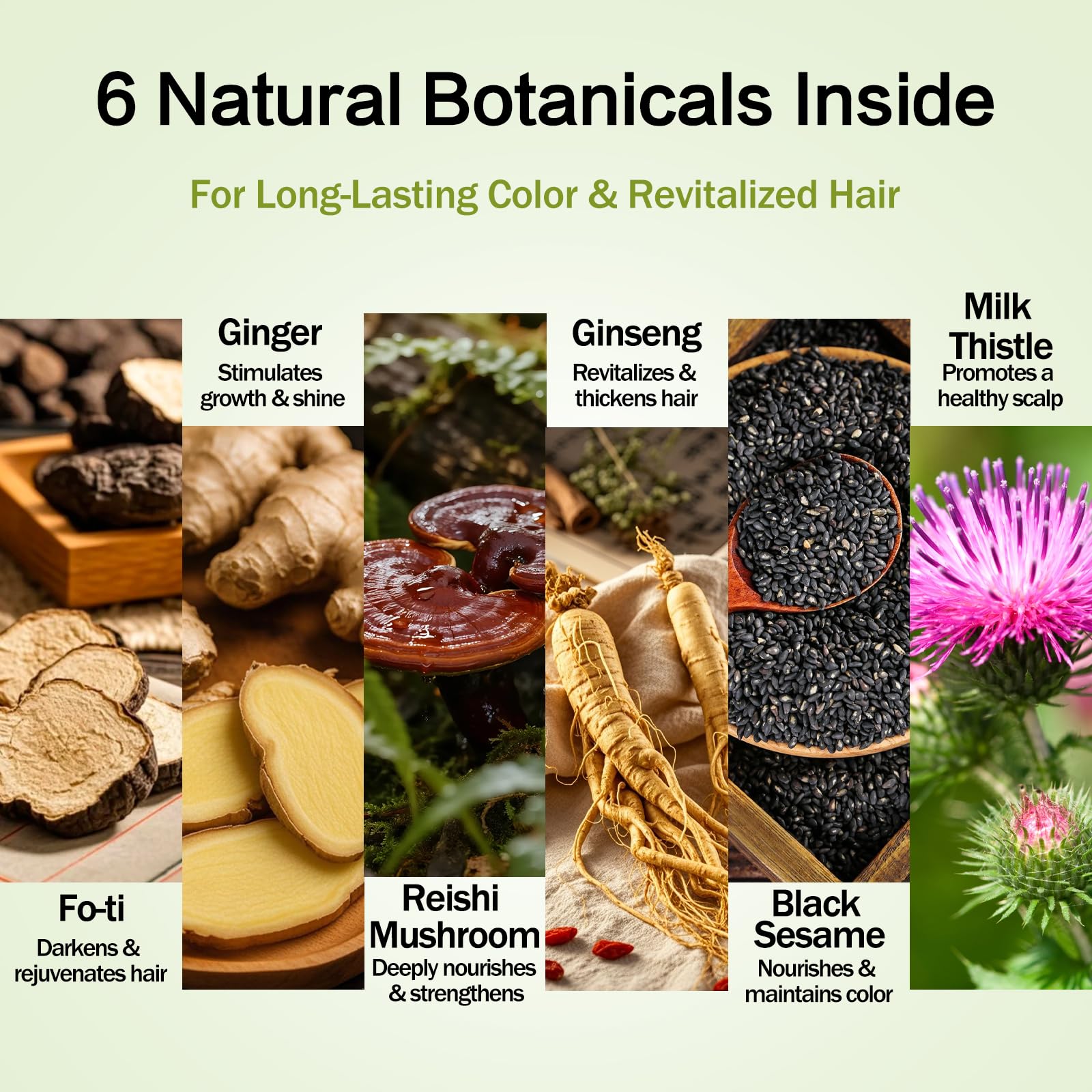 Prypvix botanical ingredients flatlay highlighting natural support