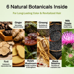 Prypvix botanical ingredients flatlay highlighting natural support