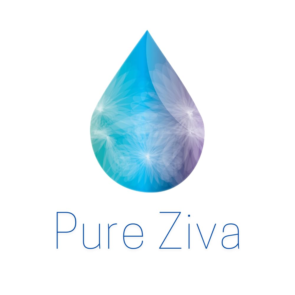 Pure Ziva compact held in hand for scale to show travel-friendly size and convenience