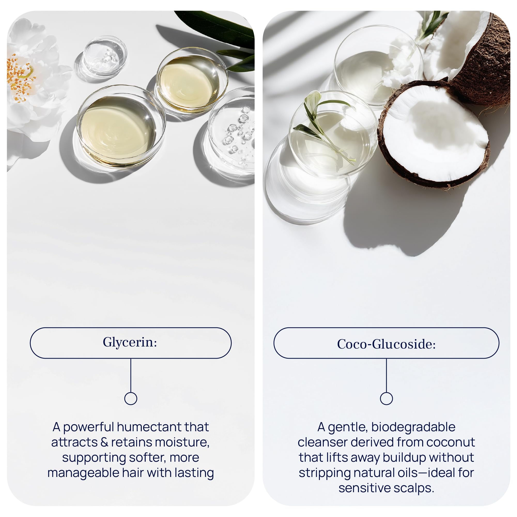 PUREANCE before and after hair comparison showing fuller-looking strands