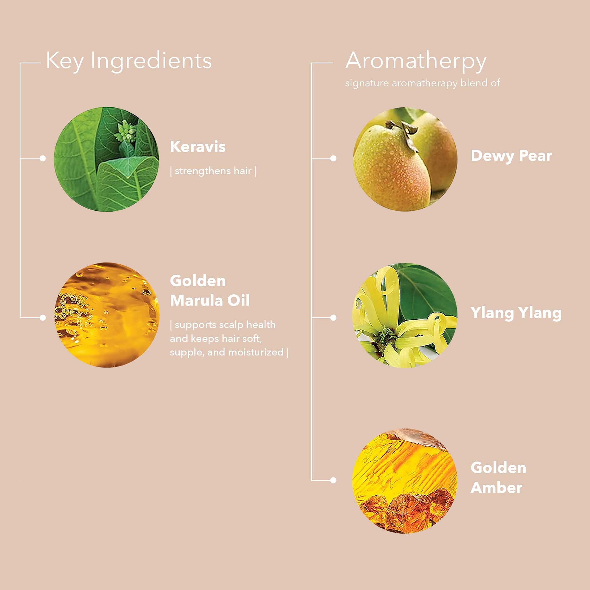 Pureology lather on wet hair illustrating gentle, sulfate‑free cleansing
