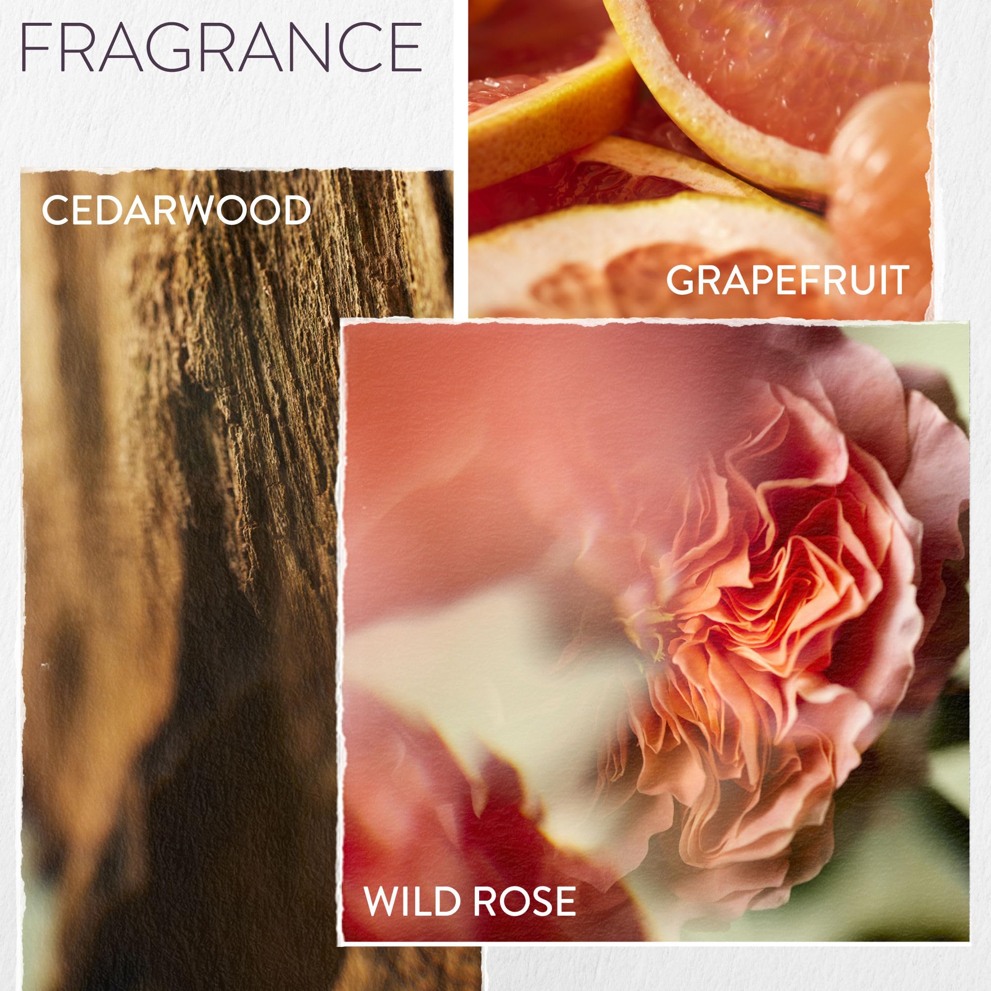 Eucalyptus extract visual emphasizing Pureology support for scalp vitality
