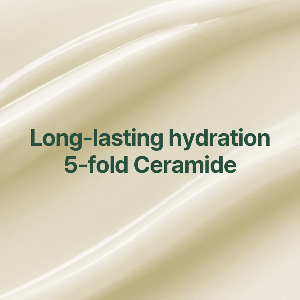 Pyunkang Yul 50ml size comparison showing scale and travel-friendly convenience