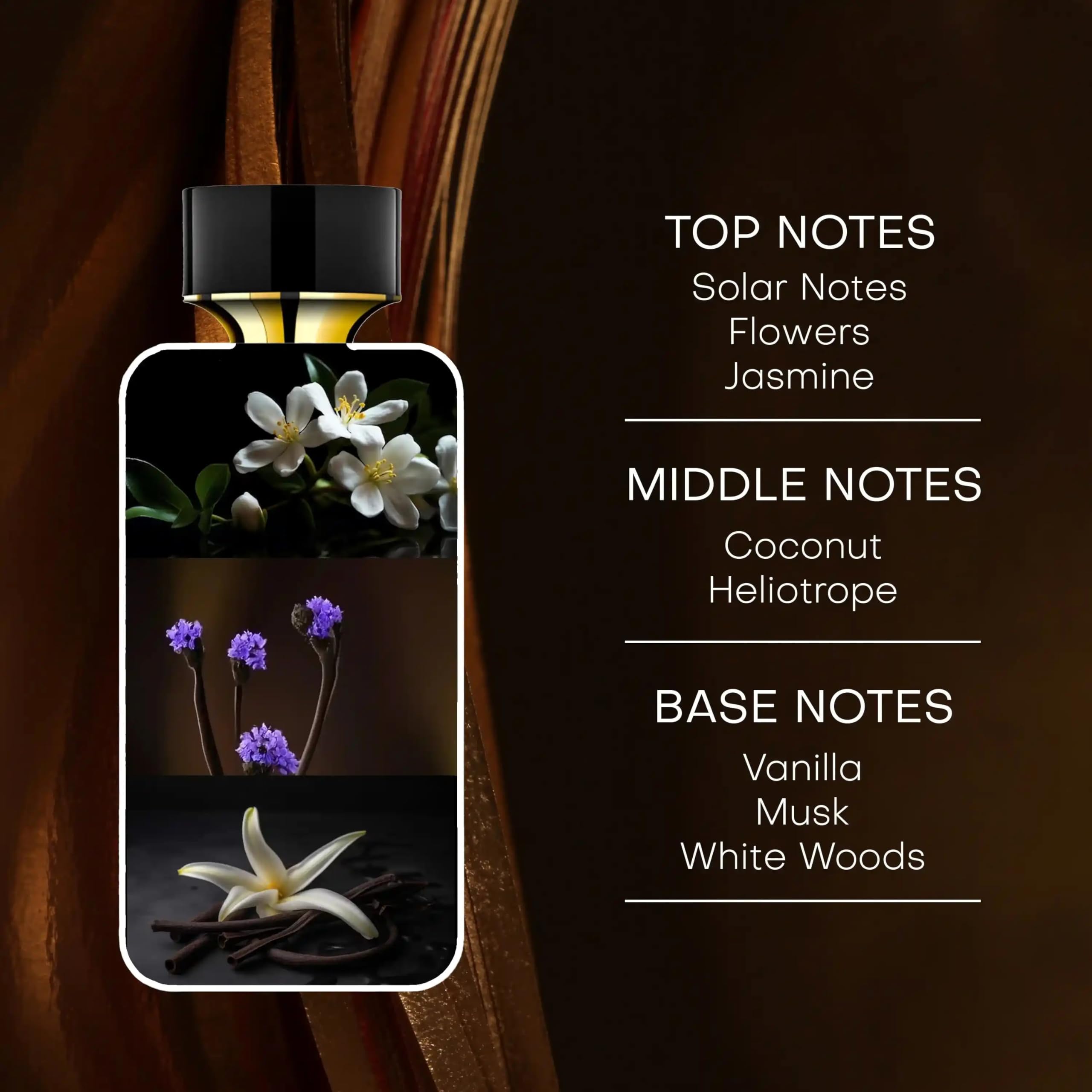 Rachel Zoe fragrance notes display jasmine coconut vanilla for scent clarity