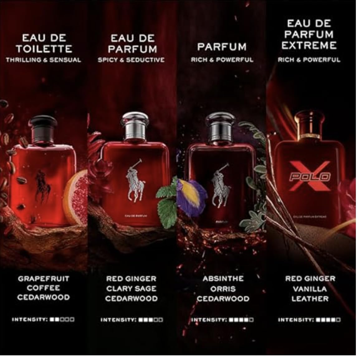 Ralph Lauren bottle held in hand to show size and portable convenience