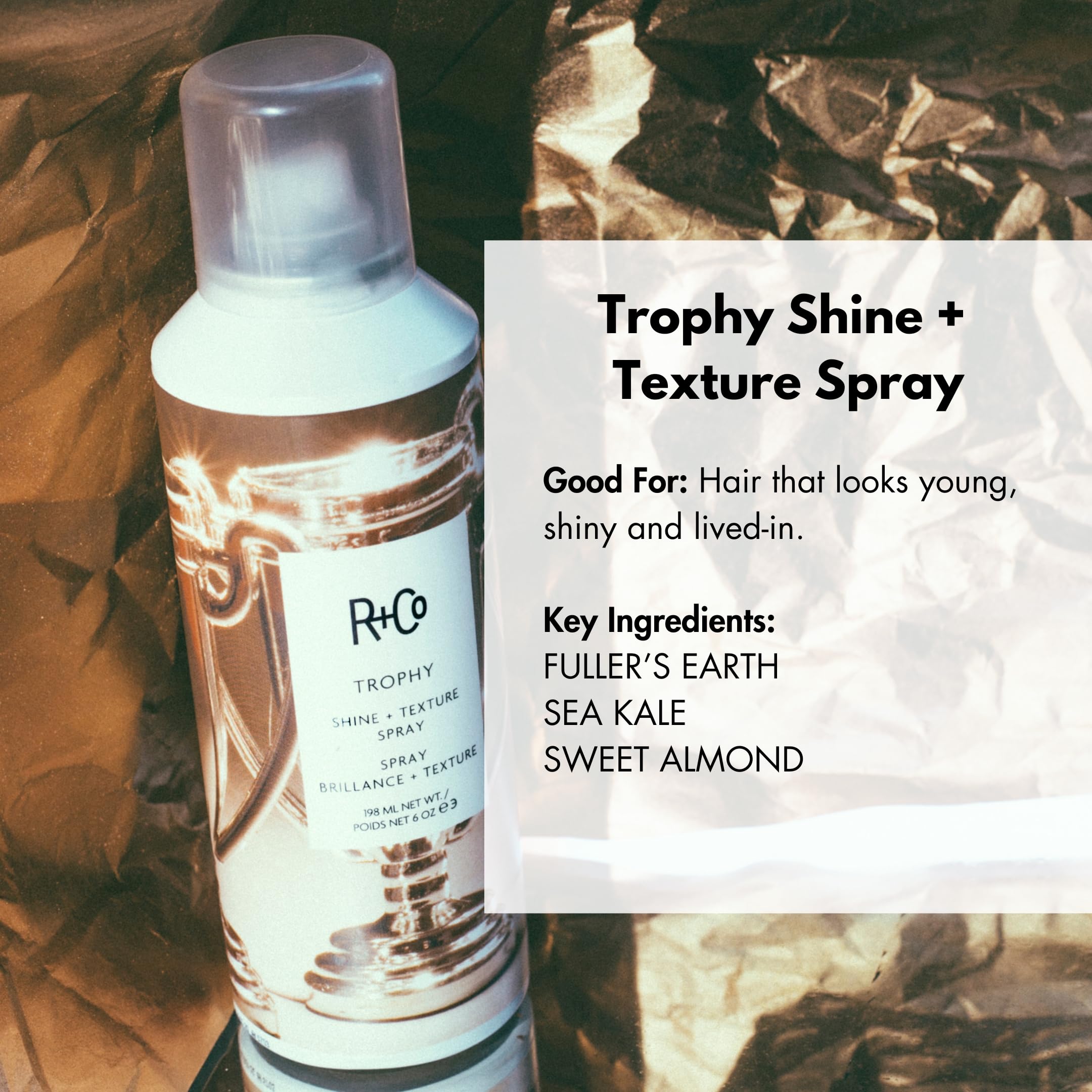 R+Co Trophy spray mist close-up showing fine texture, creates even application