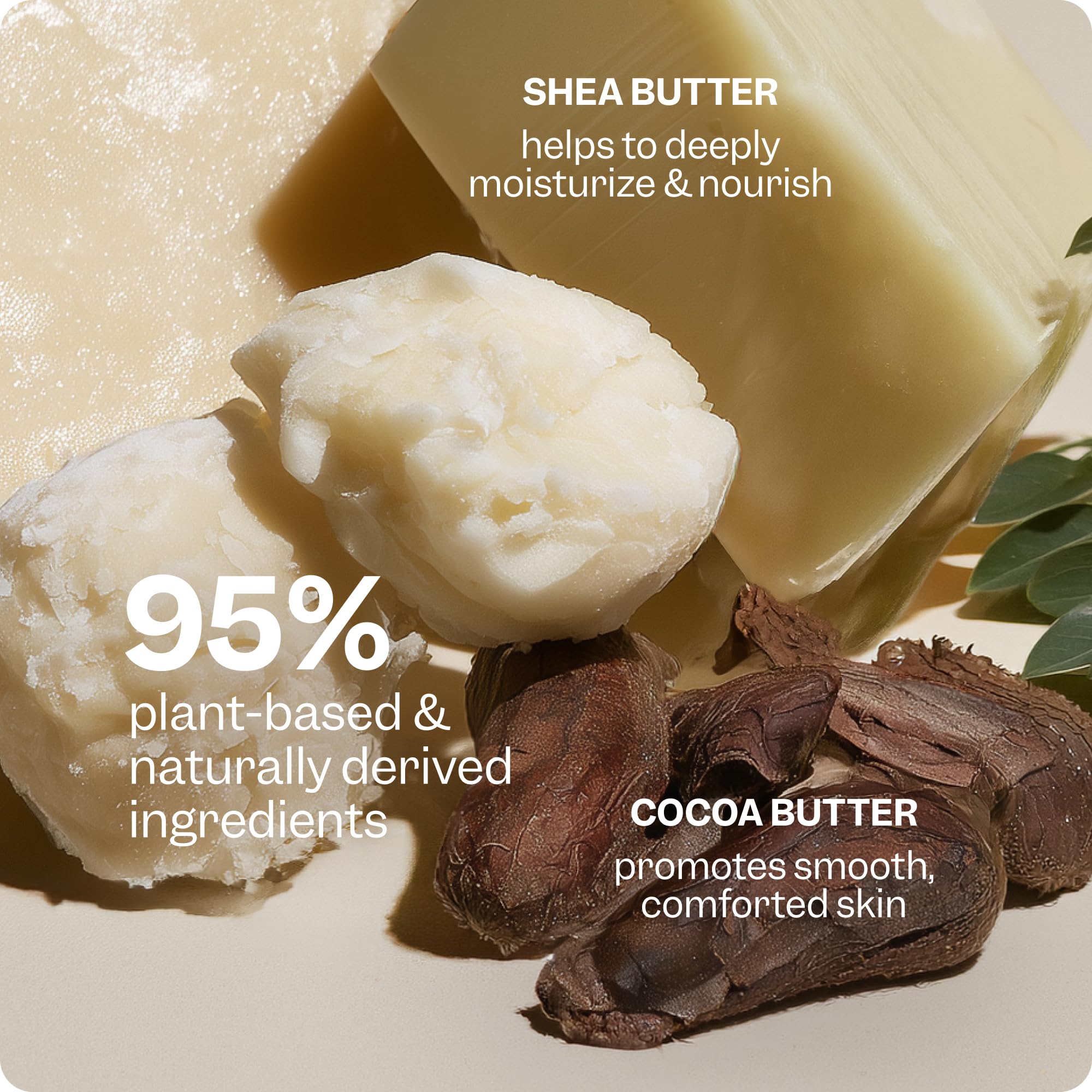 RENPURE cocoa and shea butter ingredients displayed highlighting nourishing properties