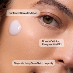 Revision Skincare ingredient illustration highlighting sunflower sprout extract benefits