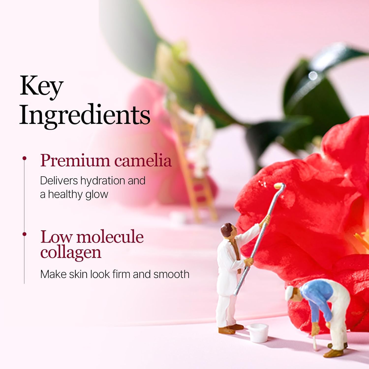 ROUND LAB product label detail emphasizing Collagenol and ingredient list