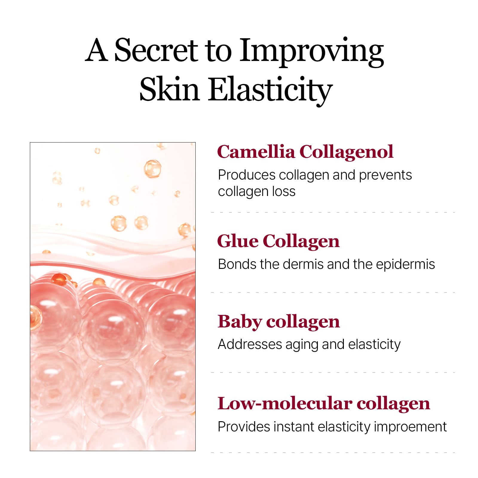 ROUND LAB camellia flower and collagen extract close-up highlighting botanical strengthening benefit