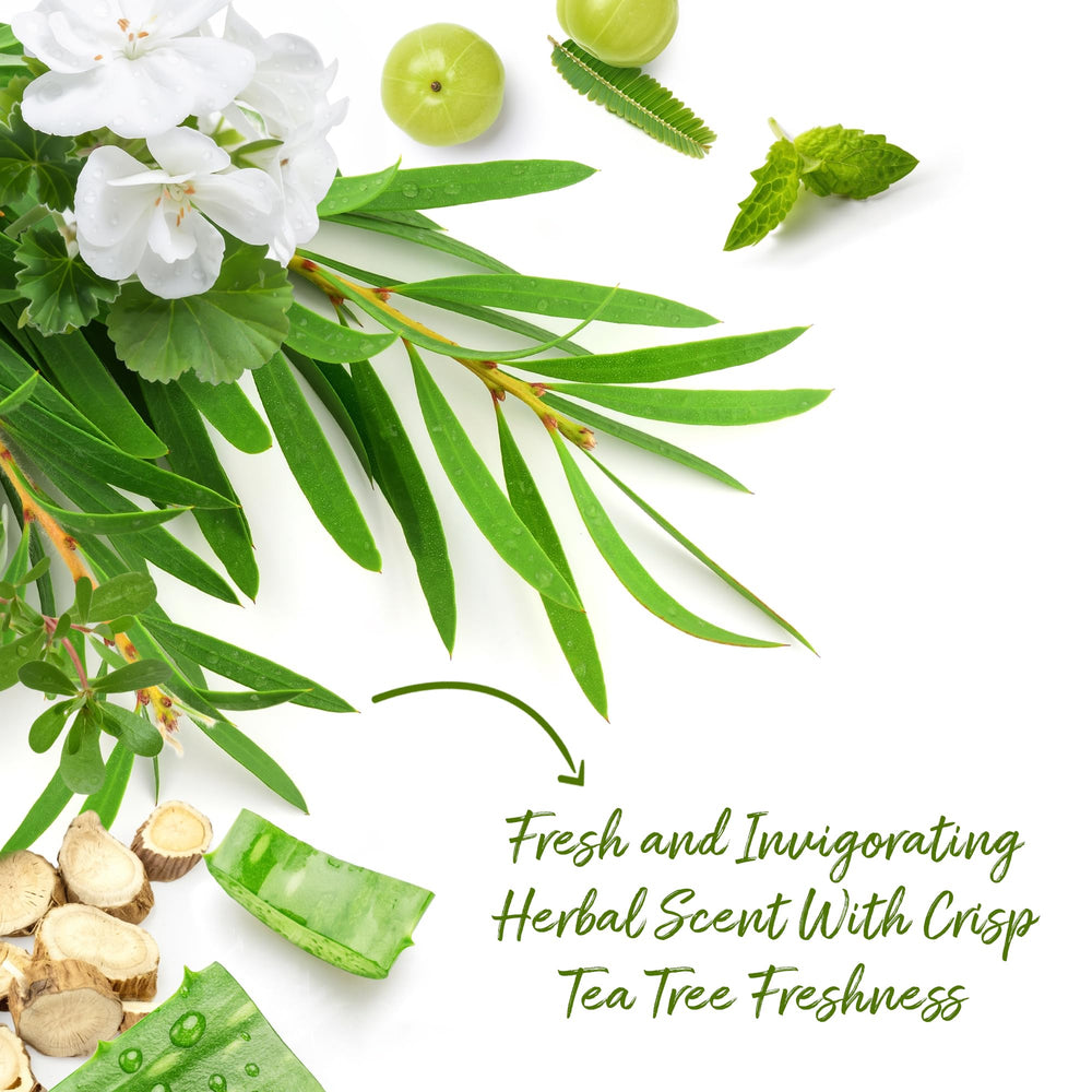 Roycederm with tea tree and wormwood botanicals highlighting natural clarifying benefits