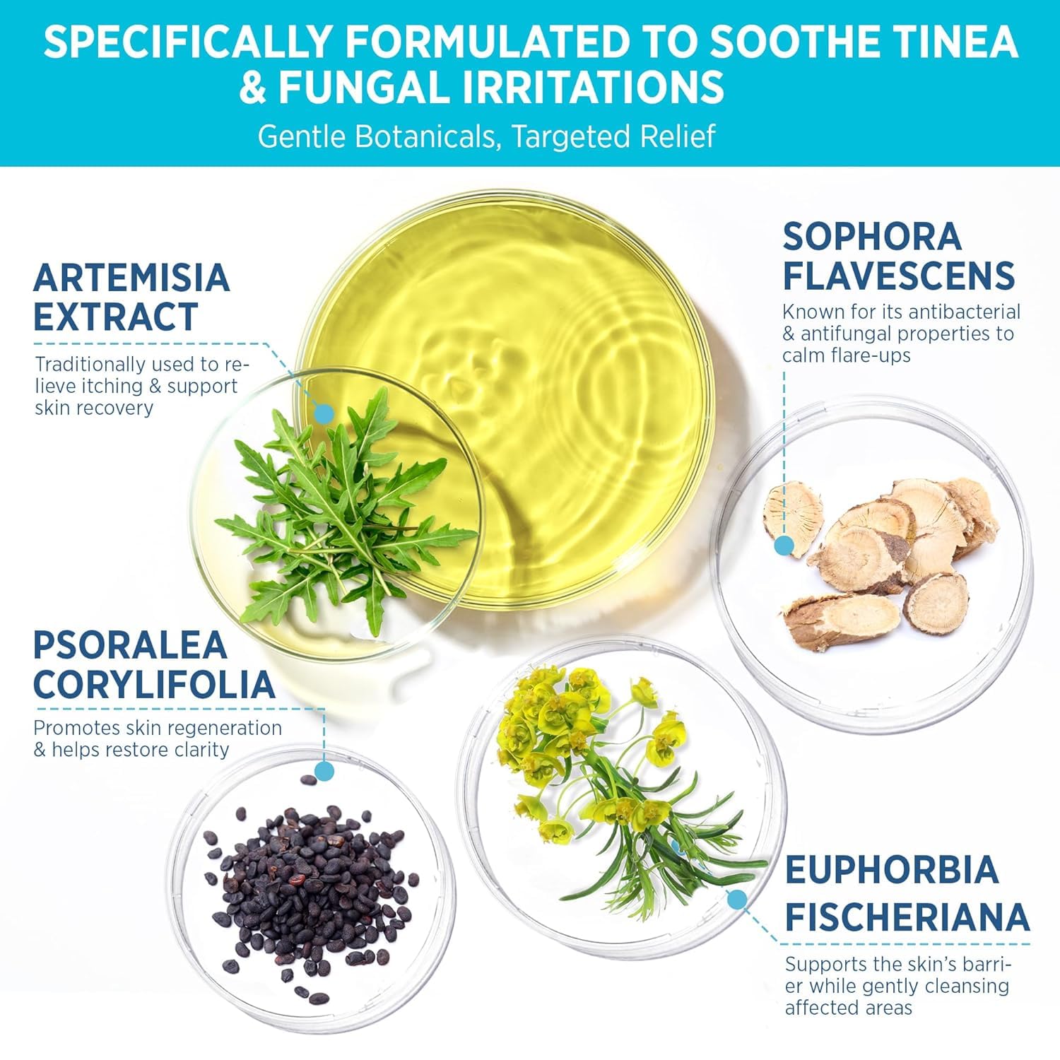 Roycederm ingredients flatlay with tea tree oil and shea butter, showing soothing components