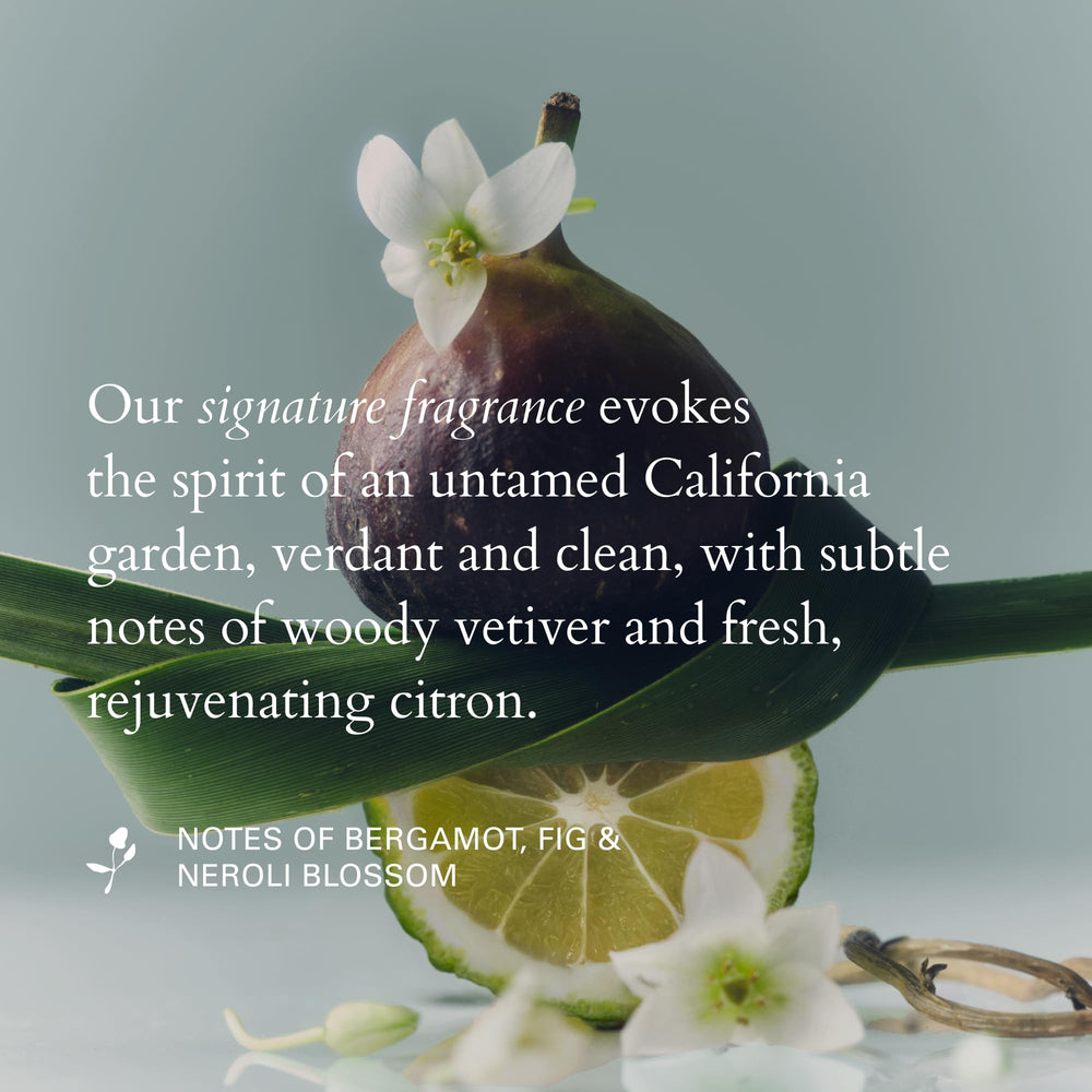 RŌZ BotaniComplex botanical ingredients flatlay showing natural benefits