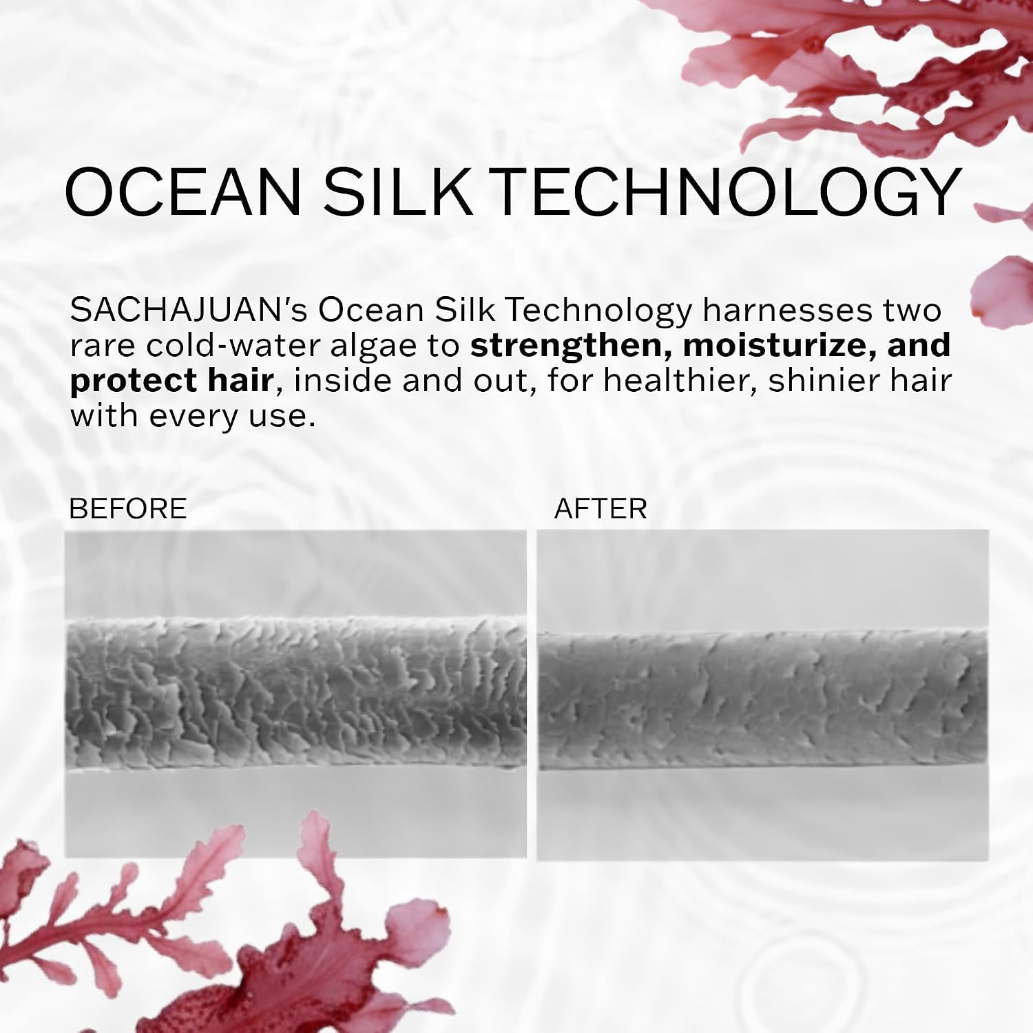SACHAJUAN label close-up highlighting Ocean Silk Technology and clean ingredients
