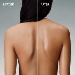Salt & Stone ingredient highlights with seaweed, squalane, argan oil benefits