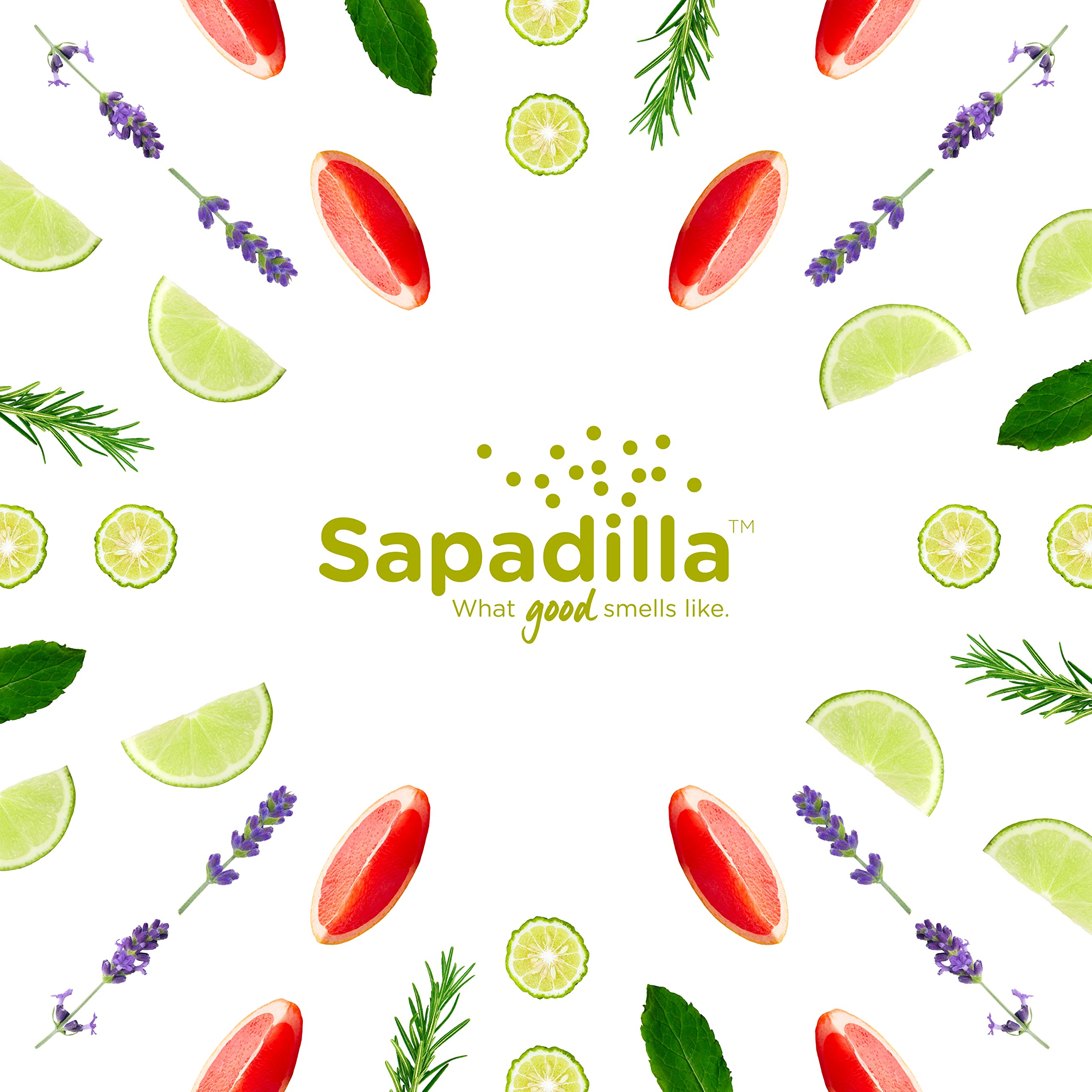 Sapadilla bottle back showing ingredient list and biodegradable claim for eco-friendly benefit