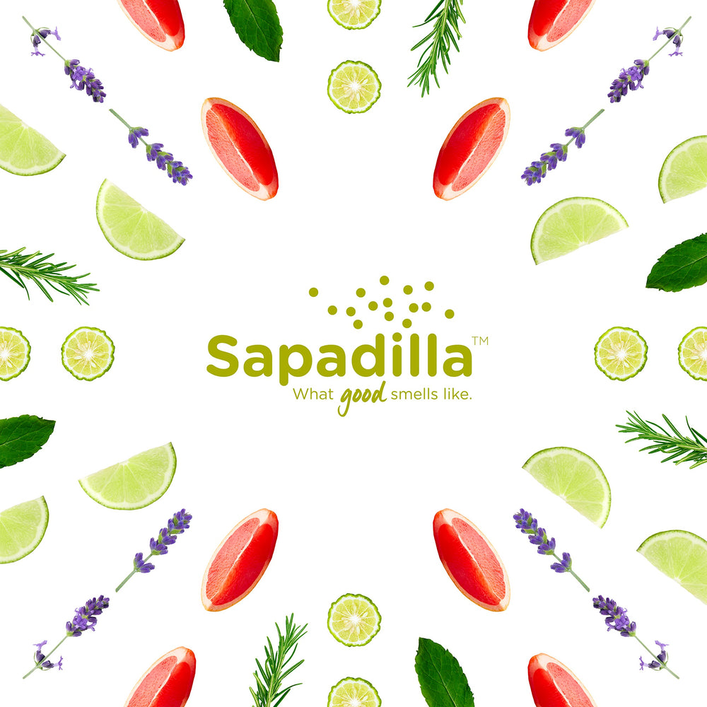 Sapadilla bottle back showing ingredient list and biodegradable claim for eco-friendly benefit