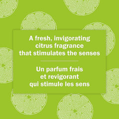 Schmidt's Bergamot & Lime ingredient flatlay highlighting plant-based oils and butters