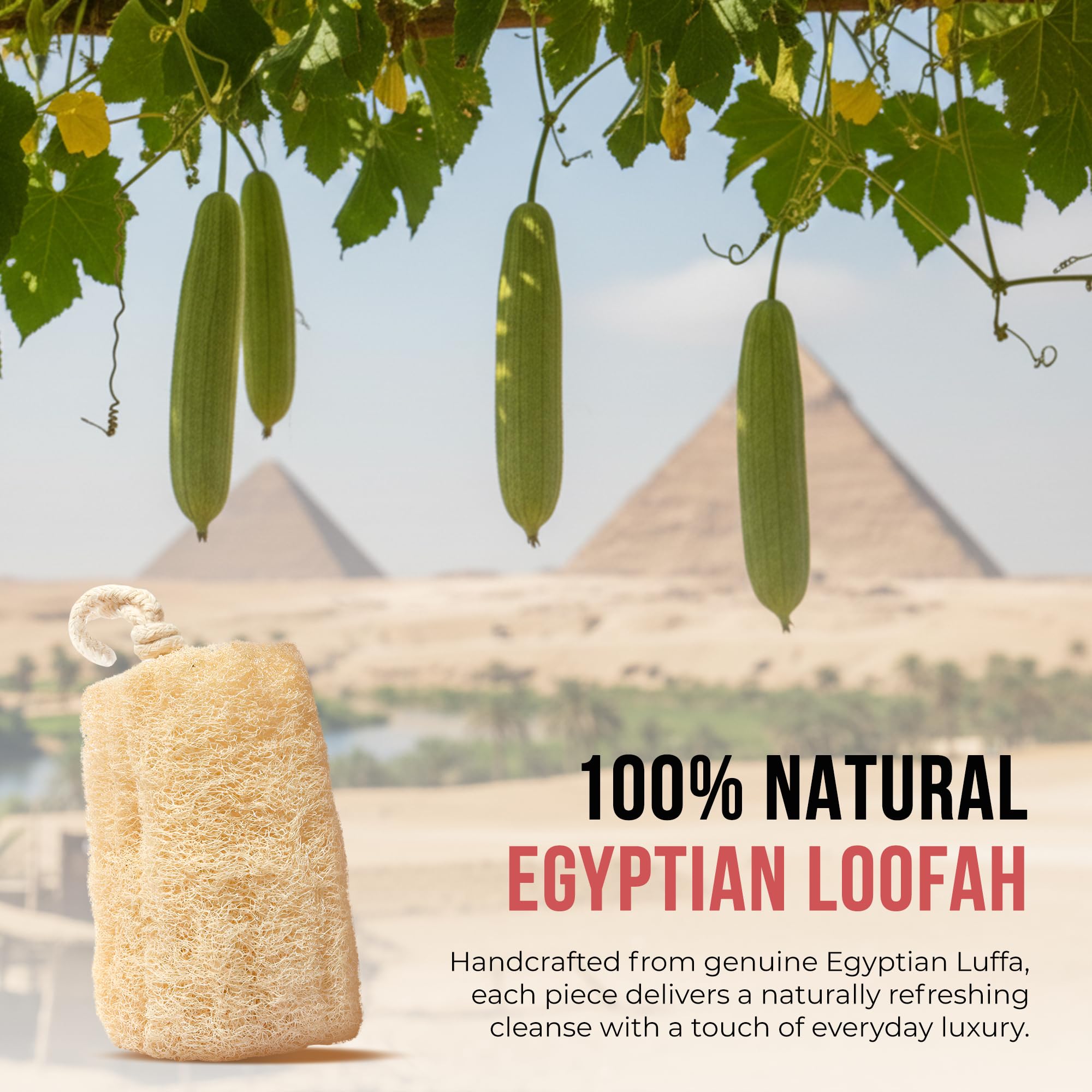 SERRENTO loofah creating foam to save soap benefit