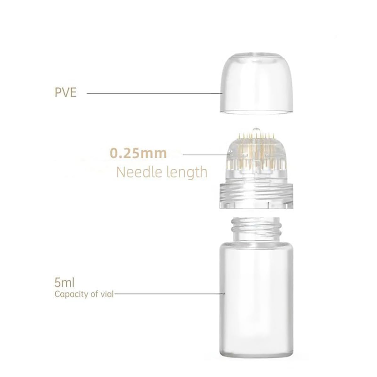 shake beauty 5ml glass vial beside ruler showing compact travel-friendly size