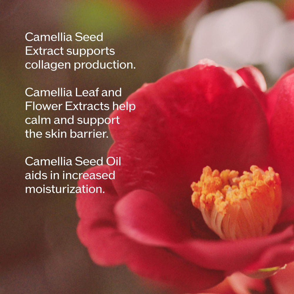 Shiseido Ultimune serum absorbing on skin illustrating quick penetration