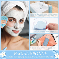 Sieral heart-shaped light-blue sponge top view for aesthetic appeal
