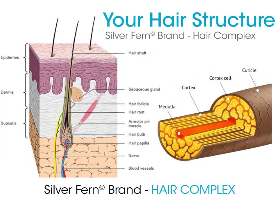 Silver Fern label highlighting Keragen-IV solubilized keratin ingredient benefits