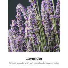 simplehuman sensor pump dispensing lavender soap for hands, providing touchless convenience