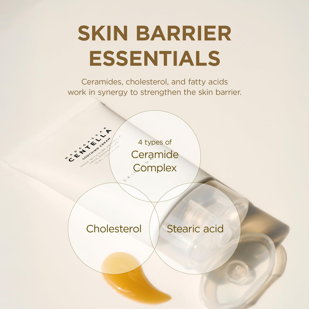 SKIN1004 jar beside Madagascar plant illustrating natural Centella benefit