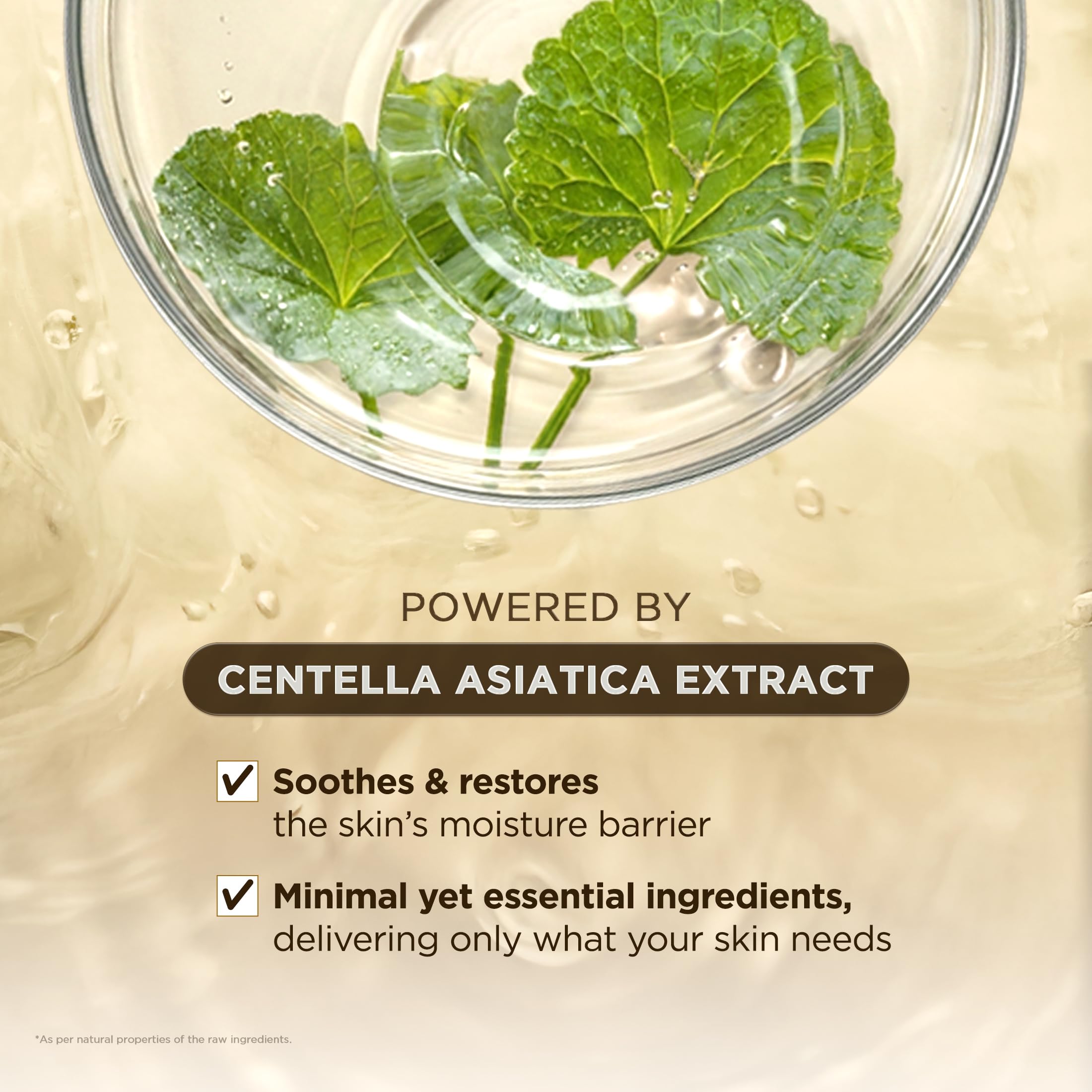 Graphic of Centella asiatica and SKIN1004 ingredient focus supporting calming